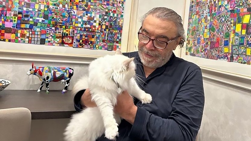 La moglie di Nino Frassica e la rabbia per il gatto scomparso: urla e pietre contro i vicini