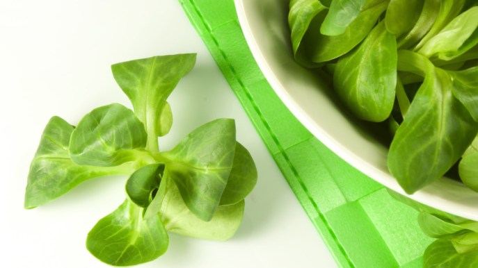 Songino, che differenza c’è con la valeriana e come pulirlo