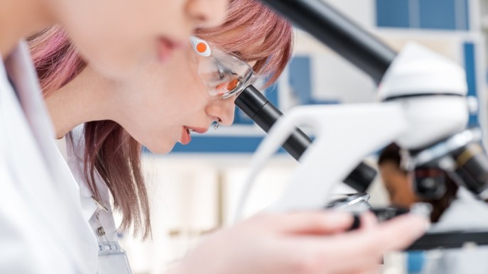 Conta cellule endoteliali: che cos’è, preparazione