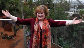 Che fine ha fatto Susan Boyle