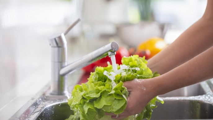 Come lavare la lattuga, i trucchi per non perdere tempo
