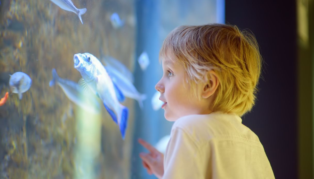 Come organizzare l'estate dei bambini
