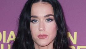 Katy Perry nei guai per il video di Lifetimes: “Su un’isola protetta senza autorizzazione”
