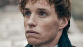 Animali Fantastici, stop alla saga: “Non c’è nulla all’orizzonte”