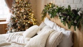 Arredare casa con le piante per Natale: idee e trucchi