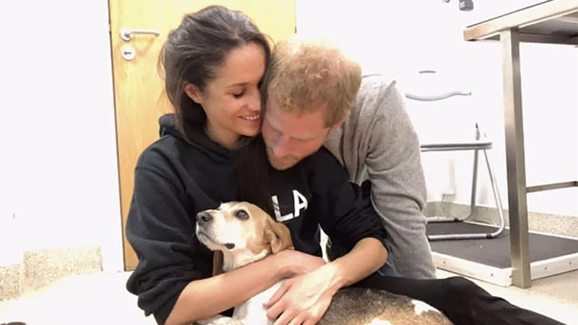 Meghan Markle in lutto, è morto il suo cucciolo. Nel video la voce dei figli